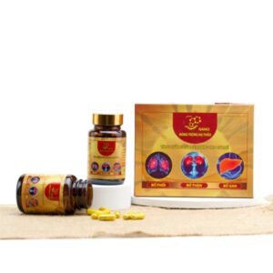 Nano Đông Trùng Hạ Thảo 3 bổ