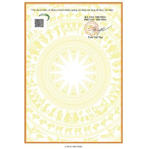 HSQC-dong-trung-ha-thao-to-yen-sam-ngoc-linh