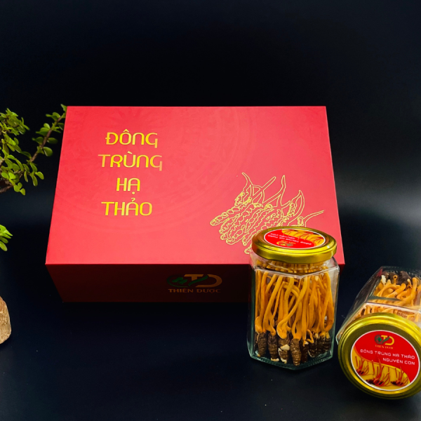 dong-trung-ha-thao-nguyen-con-kho-say-lanh (2) Đông Trùng Hạ Thảo Nguyên Con