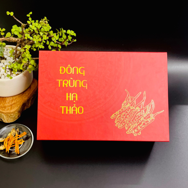 dong-trung-ha-thao-nguyen-con-kho-say-lanh dong-trung-ha-thao-nguyen-con-kho-say-lanh