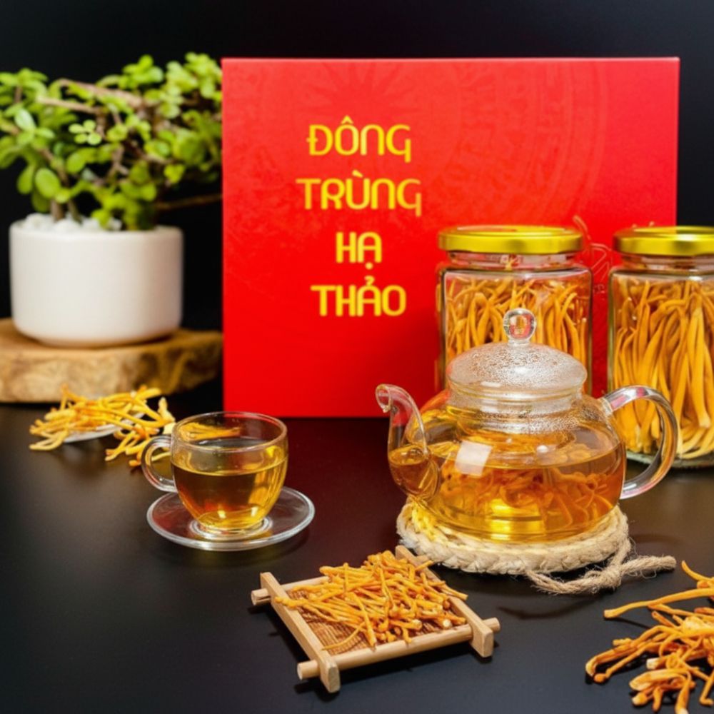 dong-trung-ha-thao-say-kho-thien-duoc