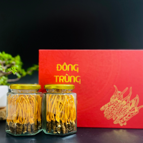 nguyen-con-dong-trung-ha-thao-say-kho Đông Trùng Hạ Thảo Nguyên Con