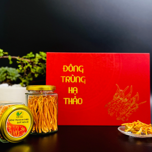 qua-the-dong-trung-ha-thao-say-kho