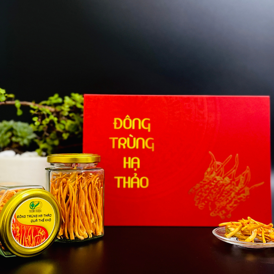 qua-the-dong-trung-ha-thao-say-kho