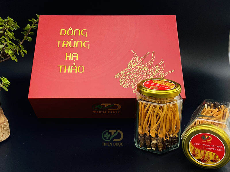 Đông trùng hạ thảo nguyên con khô