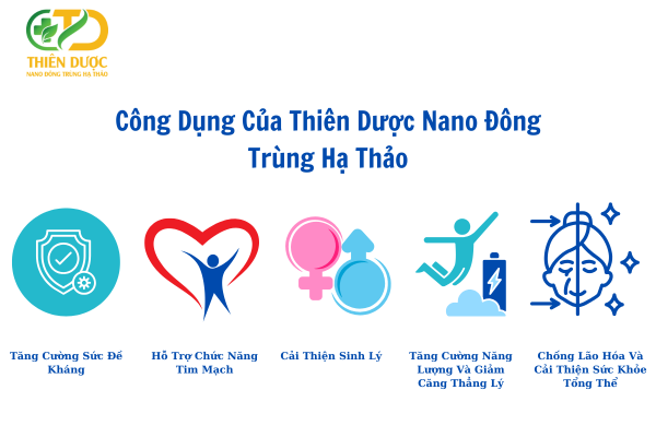 Cong-dung-cua-nano-dong-trung-ha-thao