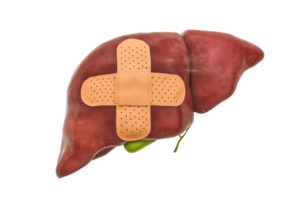 suy-gan-man-tinh-thien-duoc