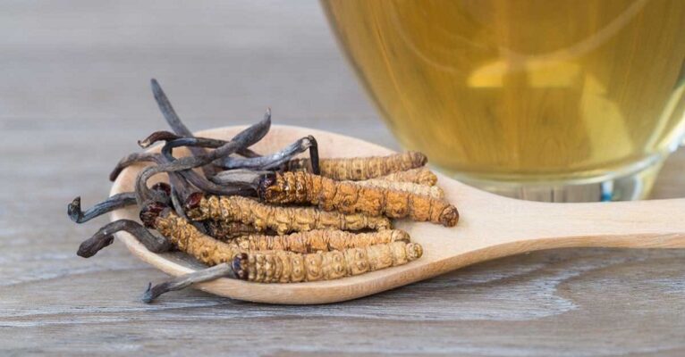 Su-dung-dong-trung-ha-thao-dung-thoi-diem-se-giup-phat-huy-toi-da-hieu-qua-cho-nguoi-dung