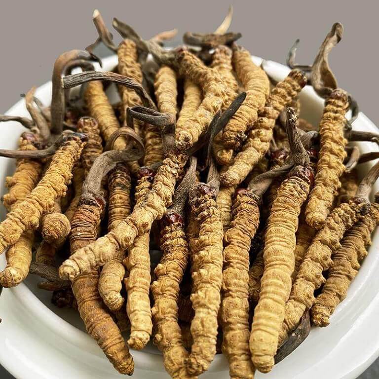 Cong-dung-cua-dong-trung-ha-thao-My