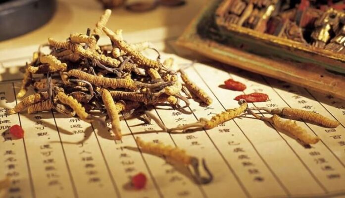 Mot-so-doi-tuong-khong-nen-su-dung-Dong-trung-ha-thao-