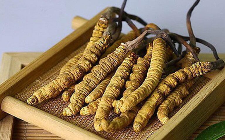 Su-dung-dong-trung-ha-thao-phu-hop-voi-do-tuoi-va-tinh-trang-benh-ly