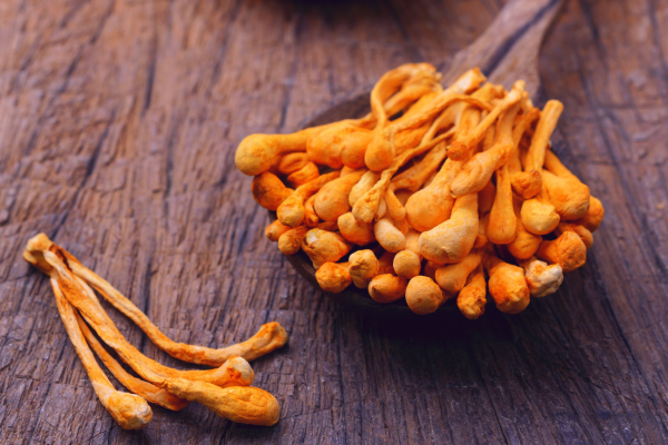 dong-trung-ha-thao-kho-viet-nam