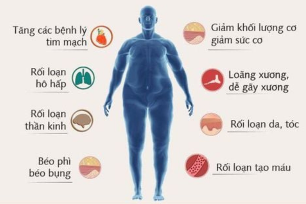 beo-phi-gay-mat-can-bang-noi-tiet-to-nam