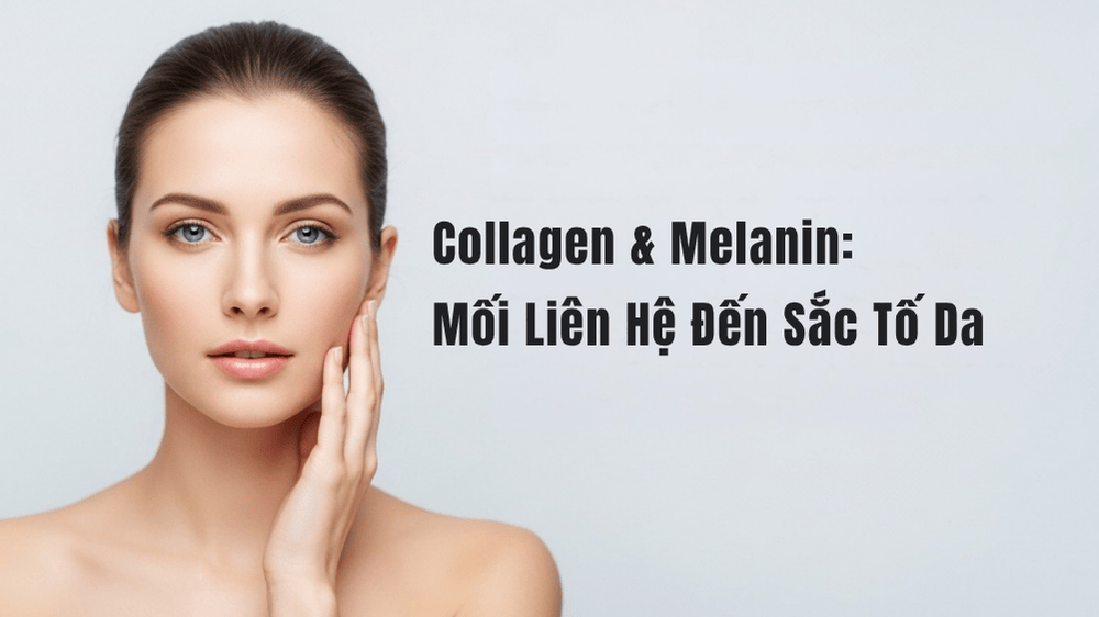 vai-tro-collagen-va-melanin