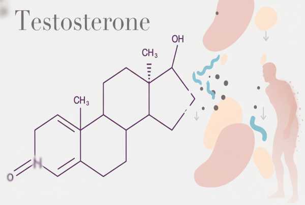 suy-giam-testosterone