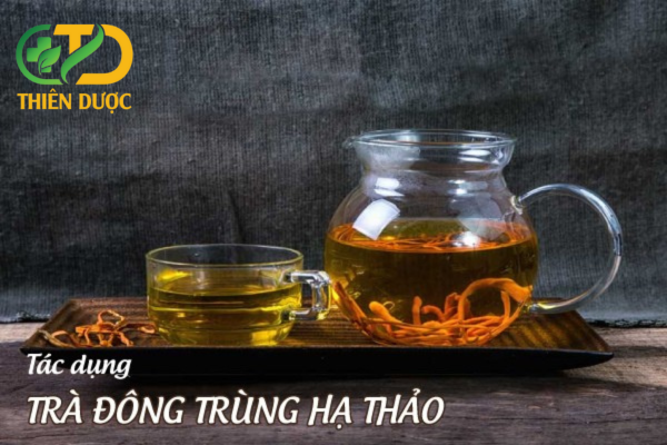 Tac-dung-cua-tra-dong-trung-ha-thao