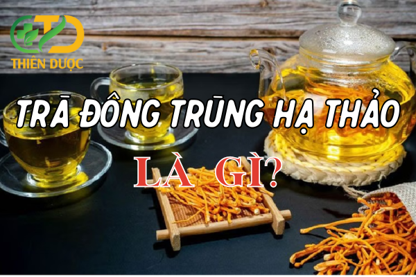 Tra-dong-trung-ha-thao-la-gi