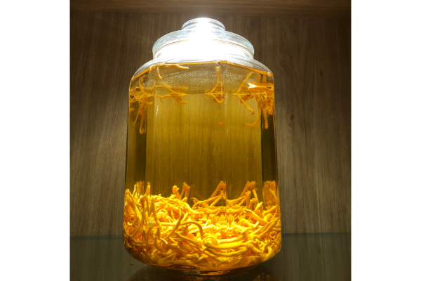 ruou-ngam-dong-trung-ha-thao