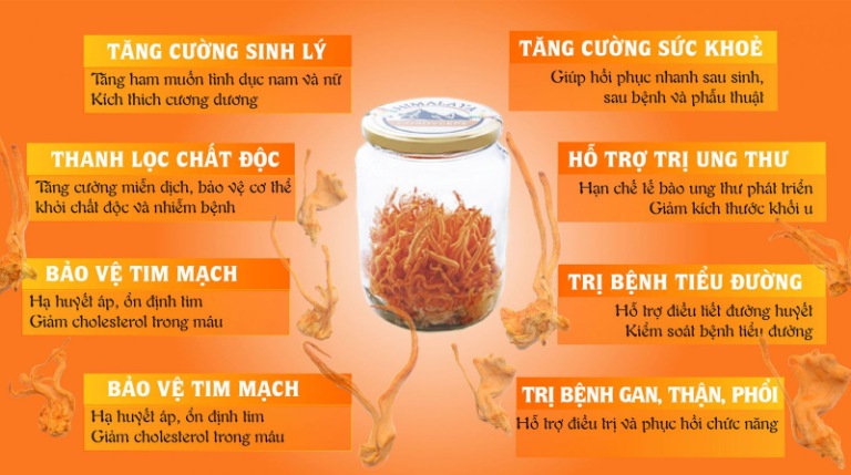 tac-dung-vien-dong-trung-ha-thao