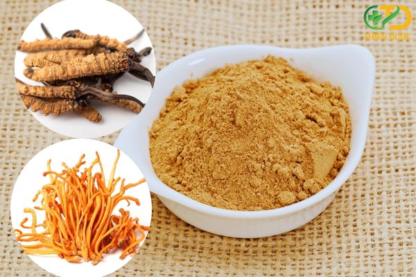 Bot-dong-trung-ha-thao-duoc-nghien-min-tu-nam-dong-trung-ha-thao-kho (1)