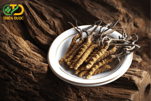 Dong-trung-ha-thao-la-gi