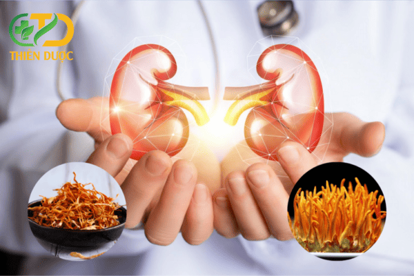 Dong-trung-ha-thao-nuoi-cay-ho-tro-cho-than