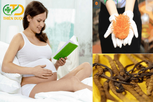 Mang-thai-co-nen-su-dung-dong-trung-ha-thao-khong