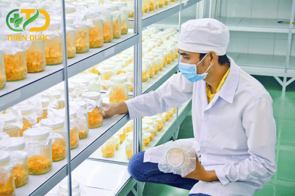 Thu-hoach-la-buoc-rat-quan-trong-tong-ket-qua-trinh-nuoi-cay