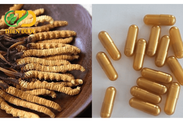 Vien-uong-dong-trung-ha-thao-la-gi