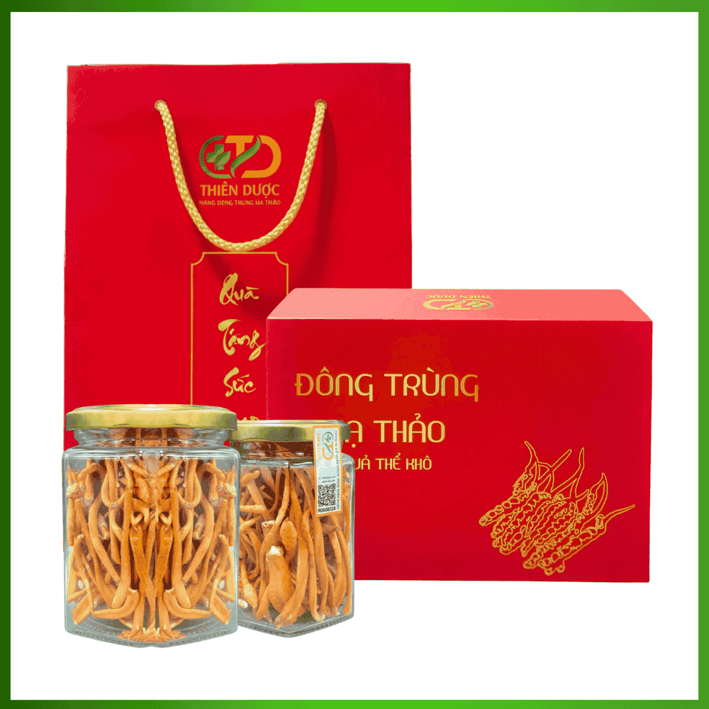 Đông Trùng Hạ Thảo Quả Thể Khô (Loại 1)
