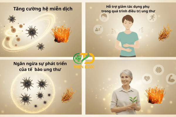 co-che-dong-trung-doi-ung-thu