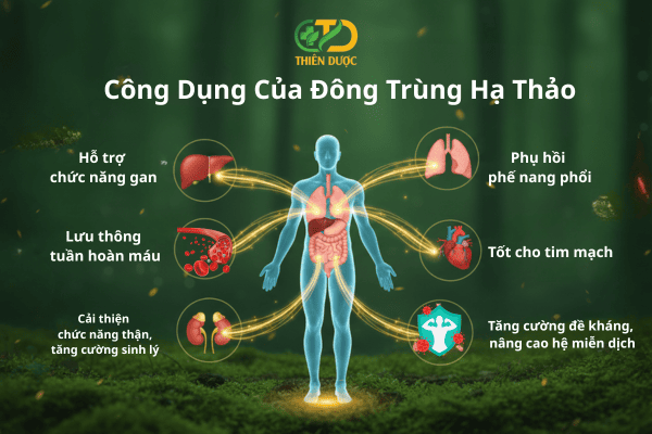 cong-dung-trung-thao