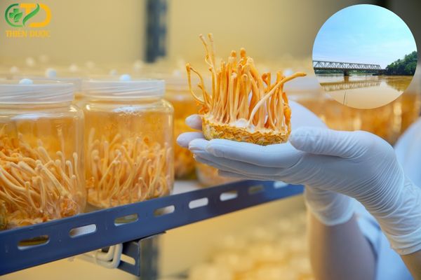 Dong-trung-ha-thao-Thanh-hoa-da-dang-san-pham