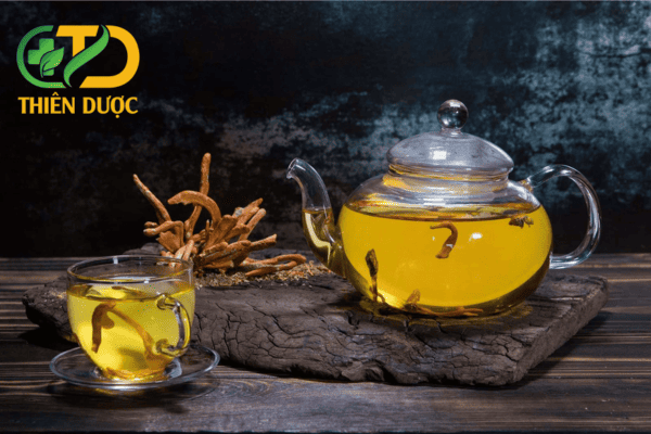 Tra-dong-trung-ha-thao-rat-tot-cho-suc-khoe