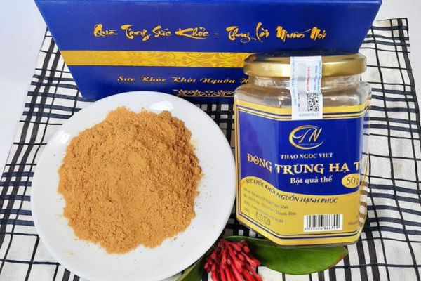 dong-trung-ha-thao-thao-ngoc-viet