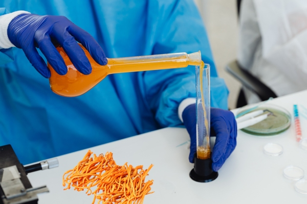 dung-dang-nuoc-van-giu-duoc-toi-da-cong-dung-quy-cua-dong-trung-ha-thao-voi-suc-khoe