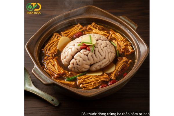 Bai-thuoc-dong-trung-ha-thao-ham-oc-heo