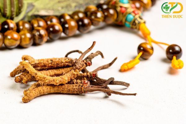 Dong-trung-ha-thao-nguyen-con-tu-nhien