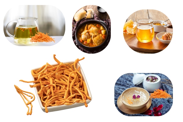 cac-cach-su-dung-dong-trung-ha-thao-pho-bien