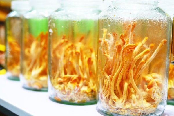 de-va-qua-the-deu-co-tac-dung-tot-voi-suc-khoe