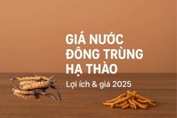 gia-nuoc-dong-trung-ha-thao-nam-2025