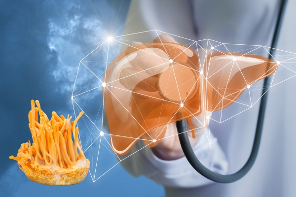 tac-dung-cua-dong-trung-ha-thao-doi-voi-gan