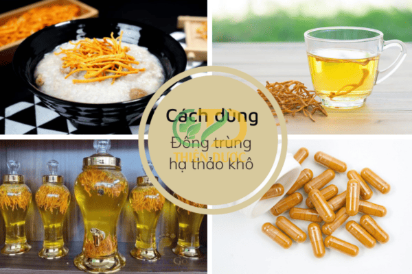 Cach-su-dung-dong-trung-ha-thao-kho-rat-da-dang
