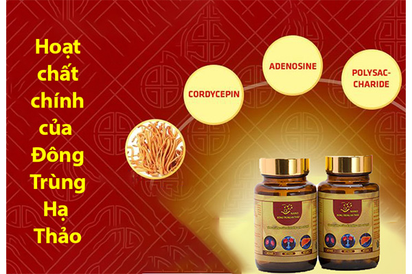 Cai-thien-giac-ngu-nho-cac-hoat-chat-trong-dong-trung-ha-thao-web