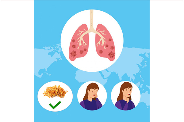 dong-trung-ha-thao-dieu-tri-viem-phoi