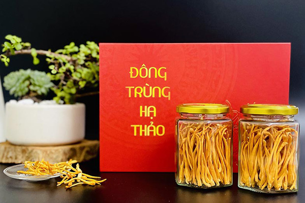 dong-trung-ha-thao-thien-duoc