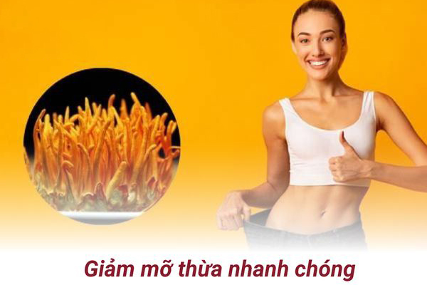 giam-mo-thua-voi-dong-trung-ha-thao