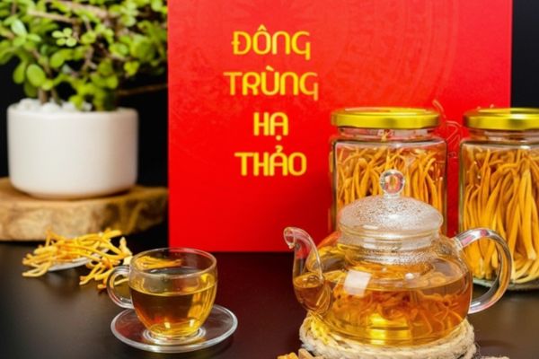 pha-tra-dong-trung-ha-thao